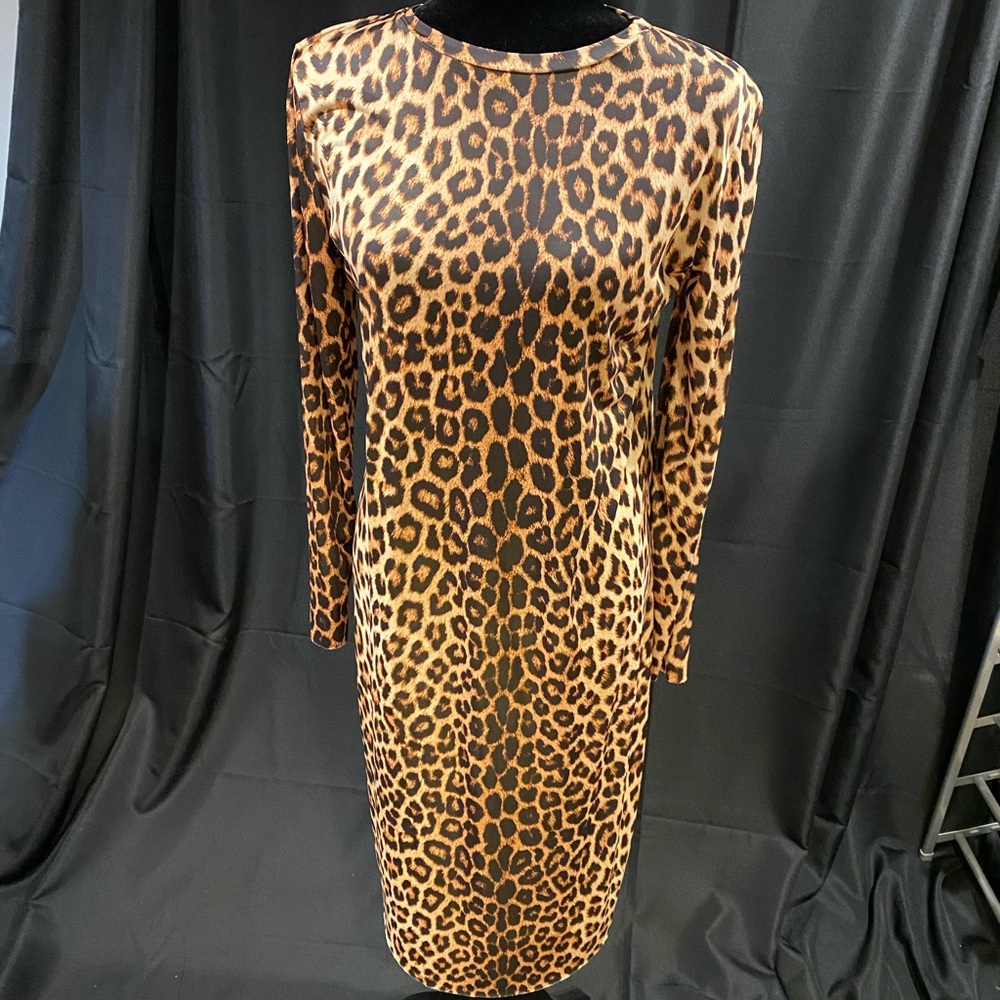 Ladies dress